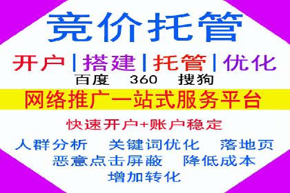 百度广告竞价策略详解：某电商平台的成功案例